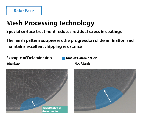 CA4 mesh processing technoloyg